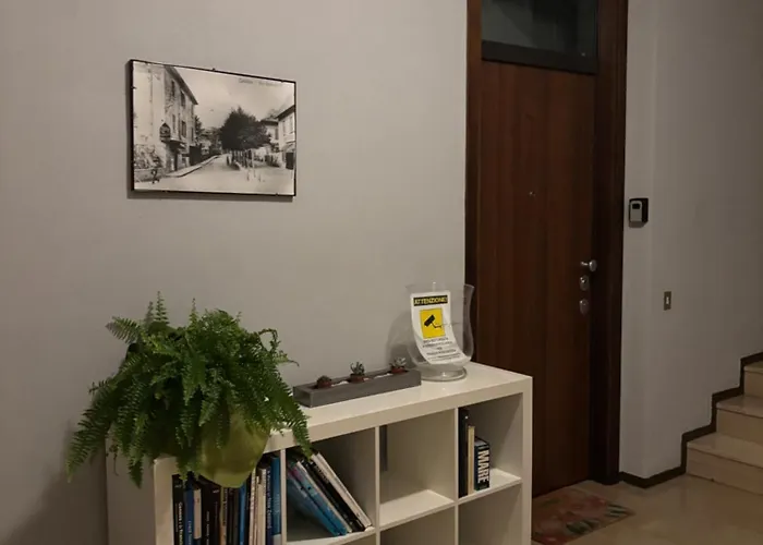 House * كالولزيوكورتي